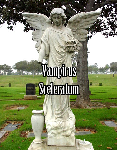 Vampirus Sceleratum Angel